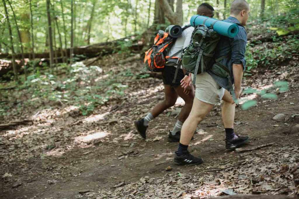 walk in the woods is transforming discipline