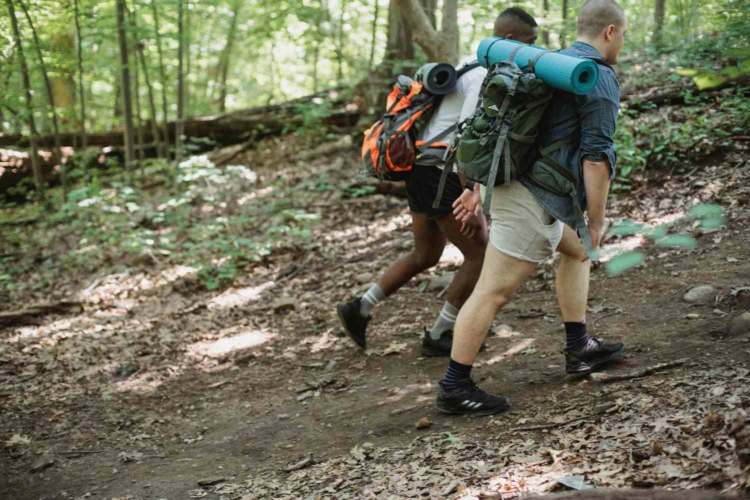 walk in the woods is transforming discipline