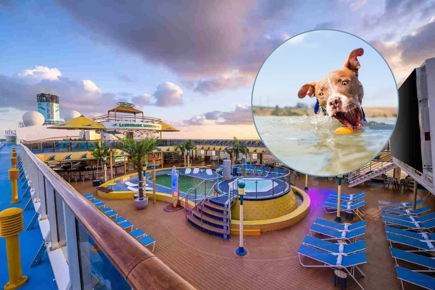 dog-friendly cruise