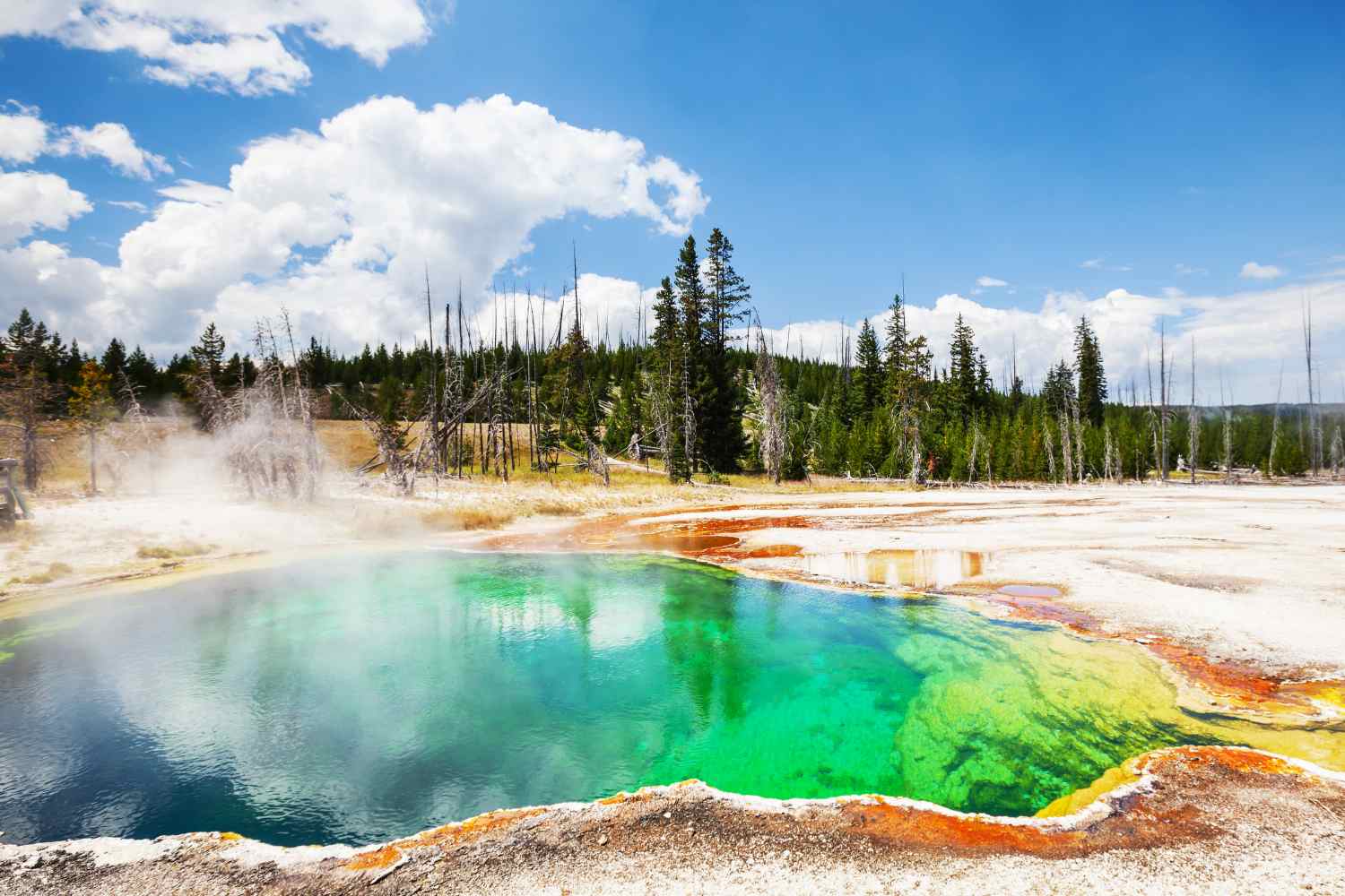 Yellowstone National Park