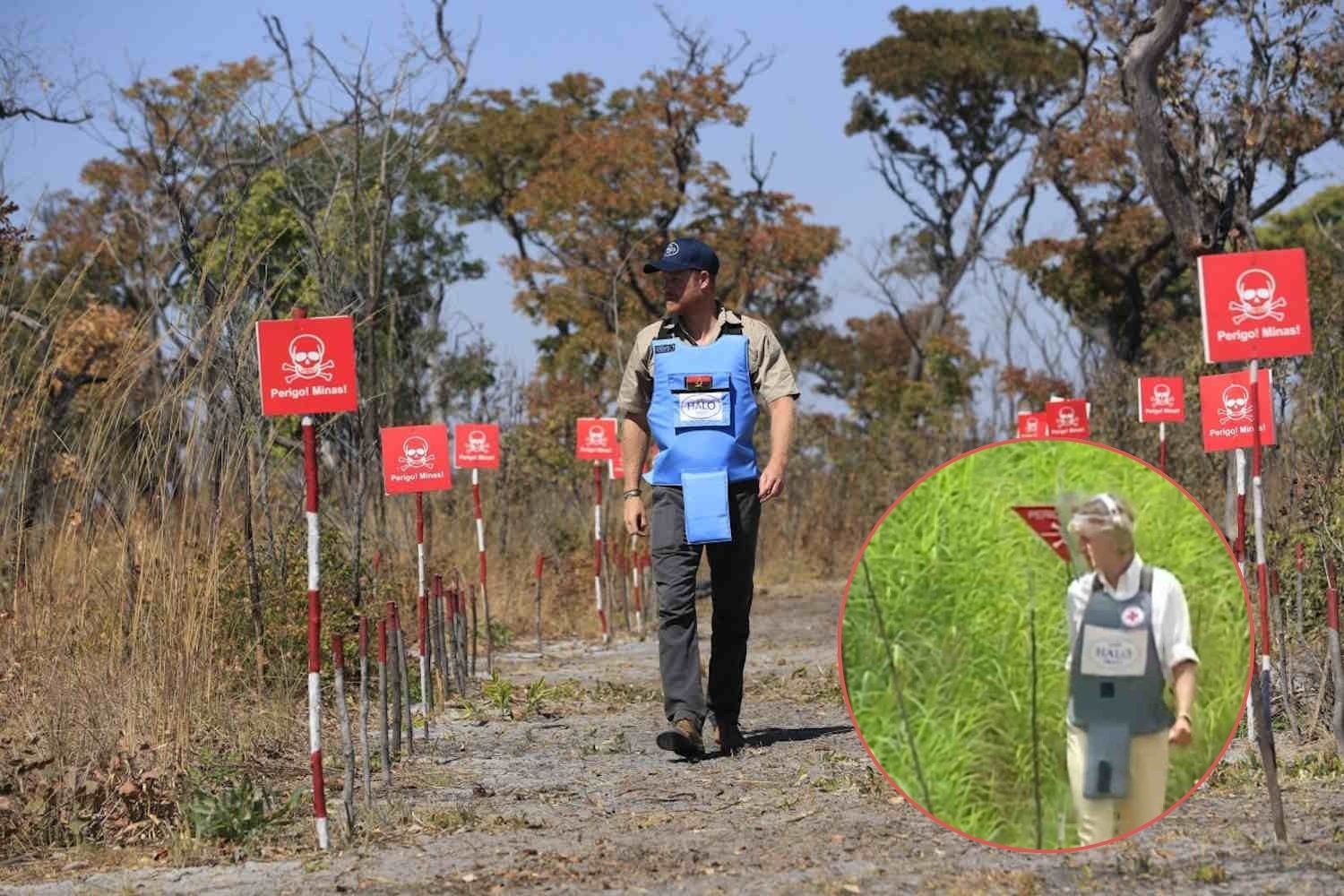 prince harry walks through angola minefields