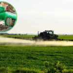 herbicide roundup