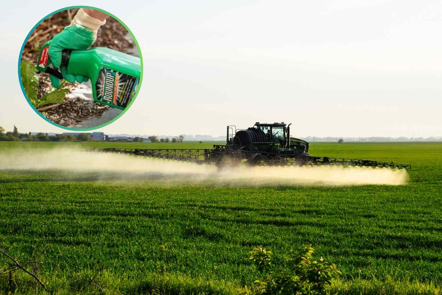 herbicide roundup