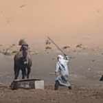 Camels - Morocco