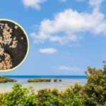 Hoshizuna beach
