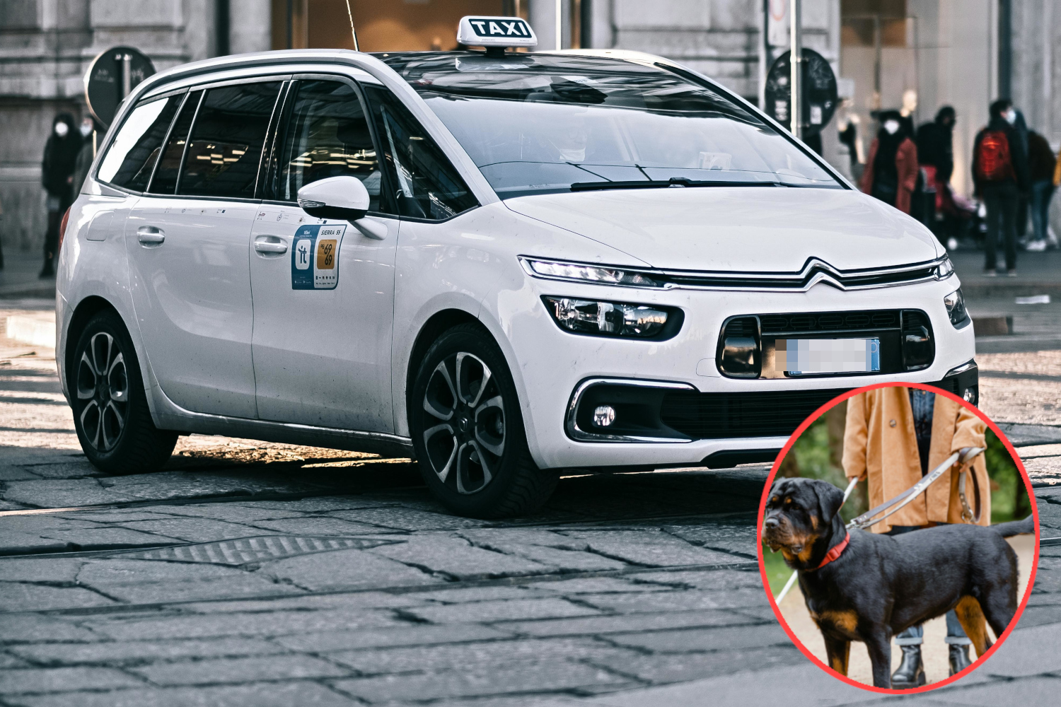 Taxi driver deny access to a blind woman an her dog