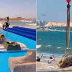 archaeological discoveries Alexandria 2025