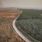 deforestation