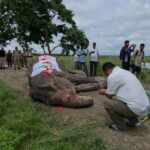 farewell to Mohanmala, the elephant who became a hero in India