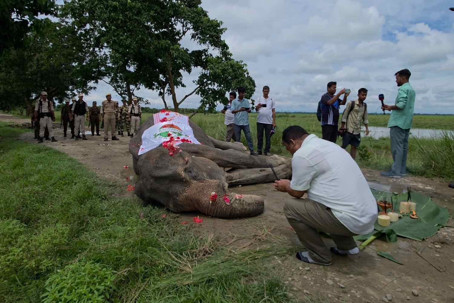 farewell to Mohanmala, the elephant who became a hero in India