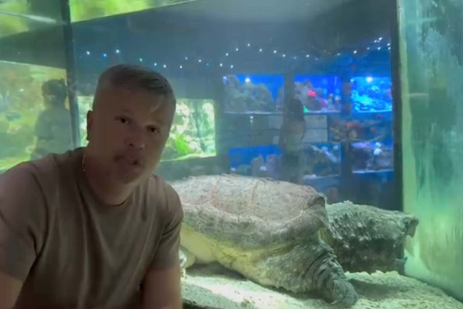 Over 20 years of captivity for Crimea's alligator snapping turtle