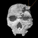 The Petralona skull