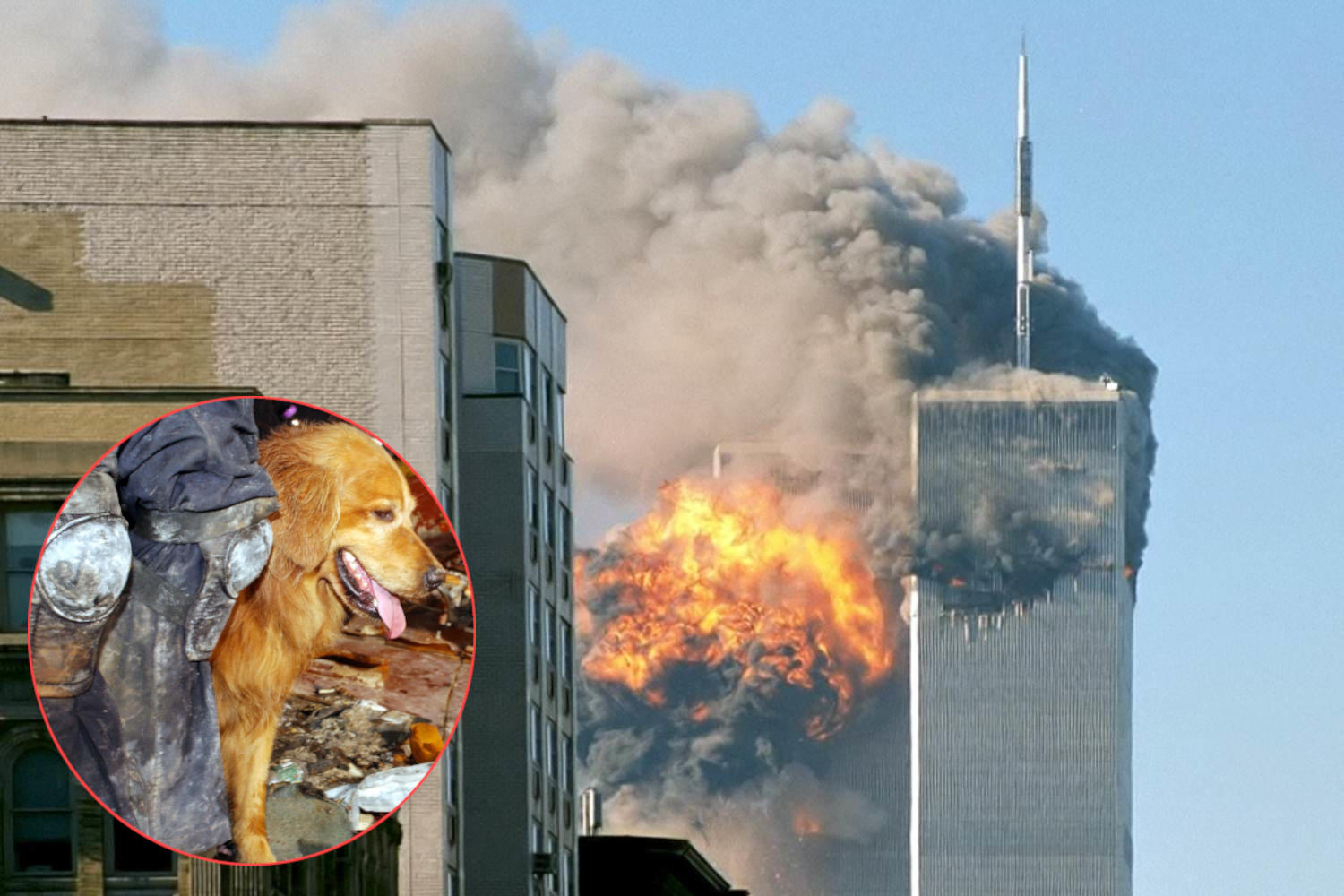 11 September