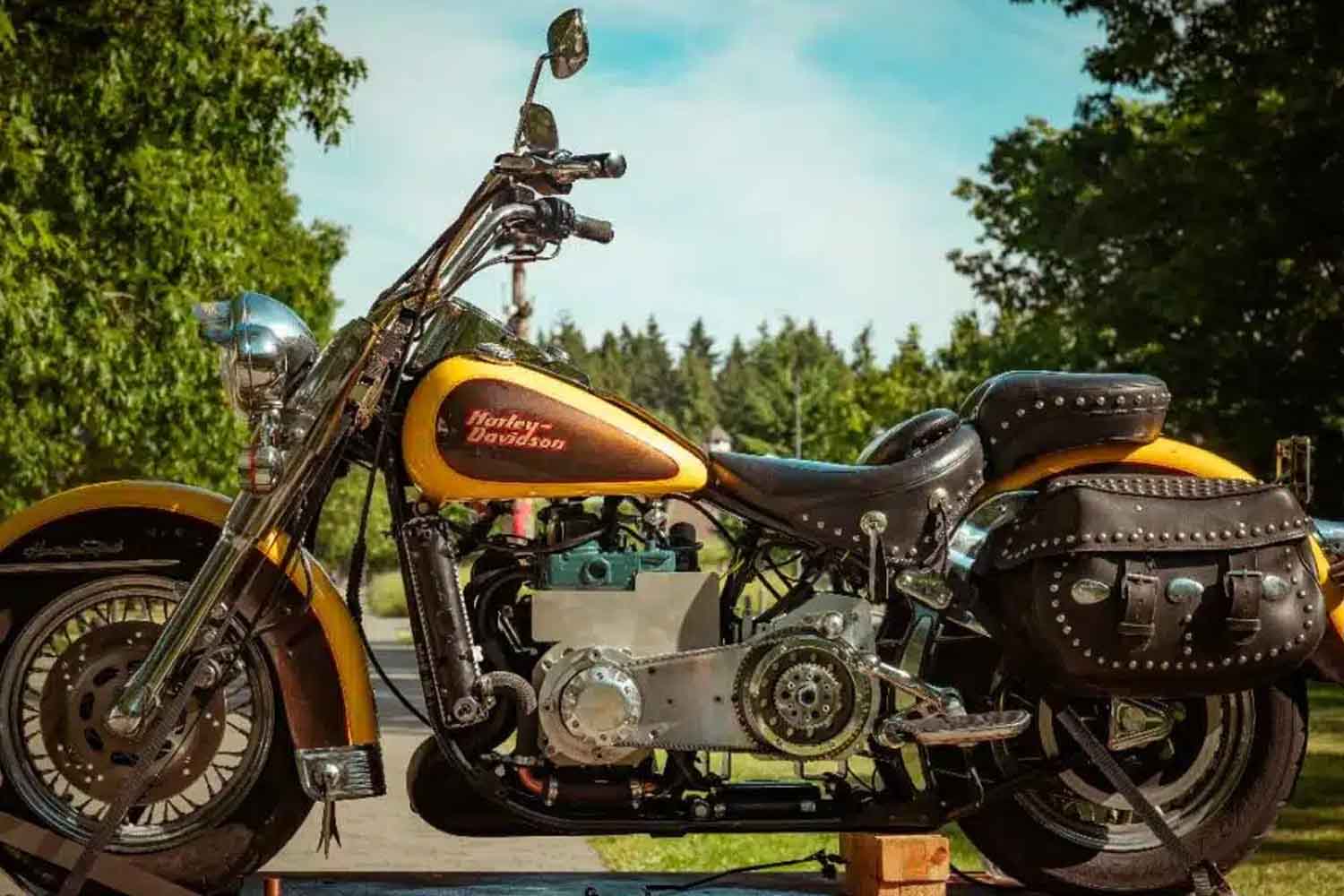 Bio-Harley-Davidson