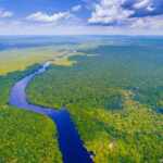 Brazil’s rainforest