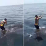 man dancing on a whale shark