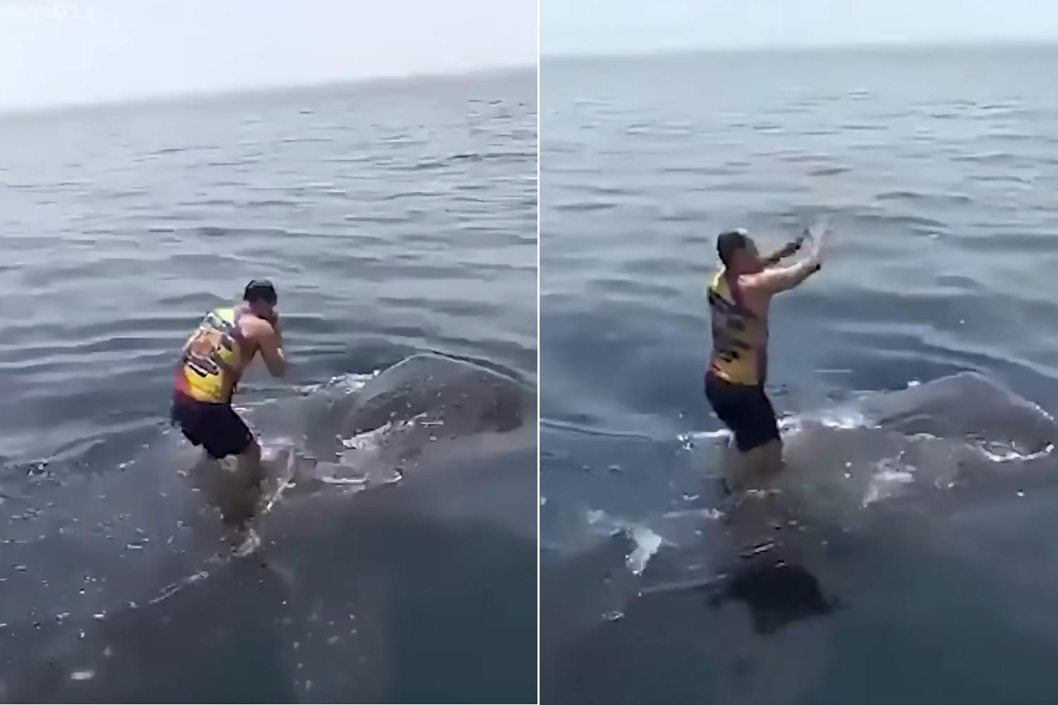 man dancing on a whale shark