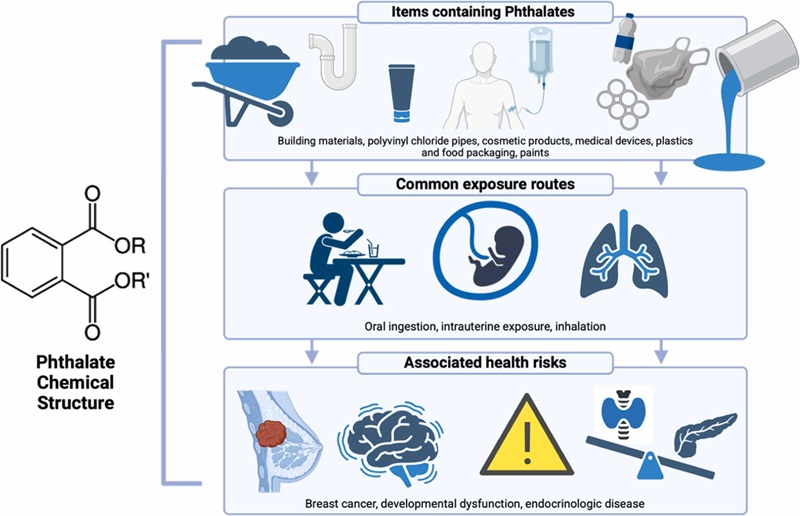Phthalates