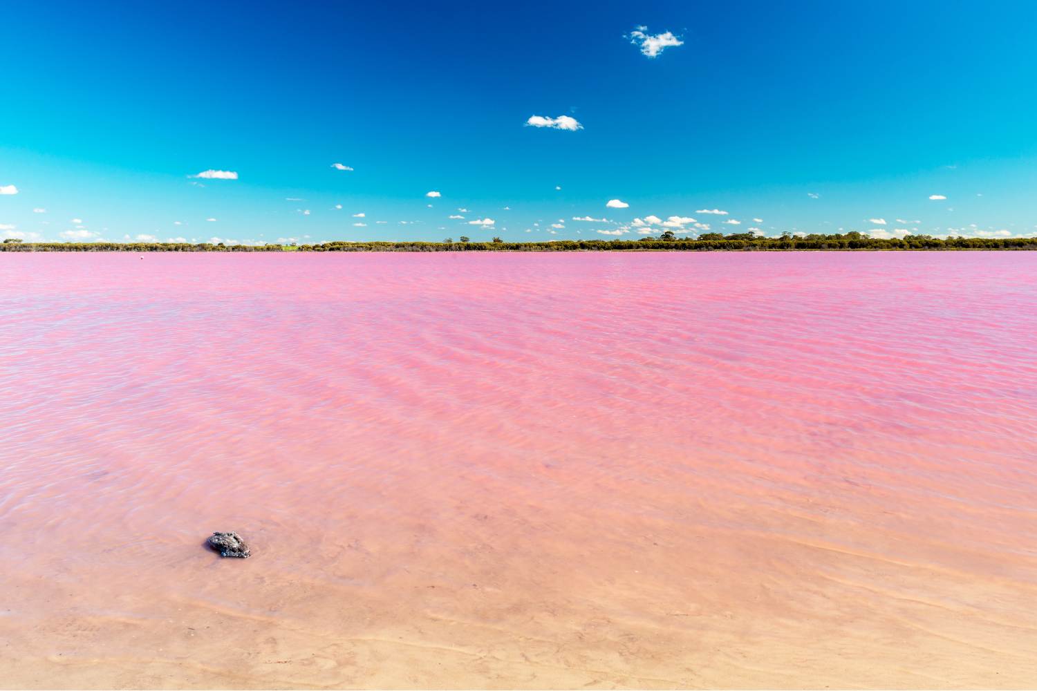 Pink lake