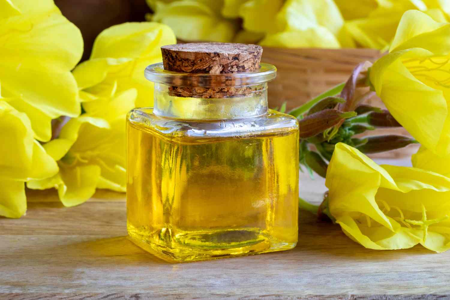 primrose oil