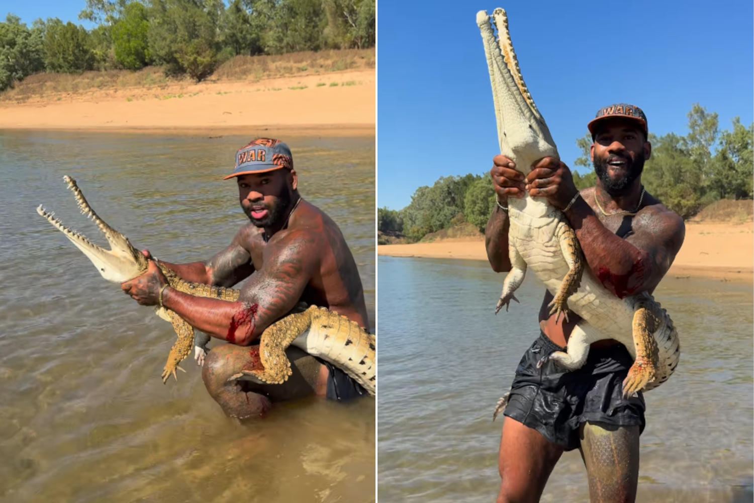 Influencer crocodile