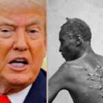 Trump and the slave