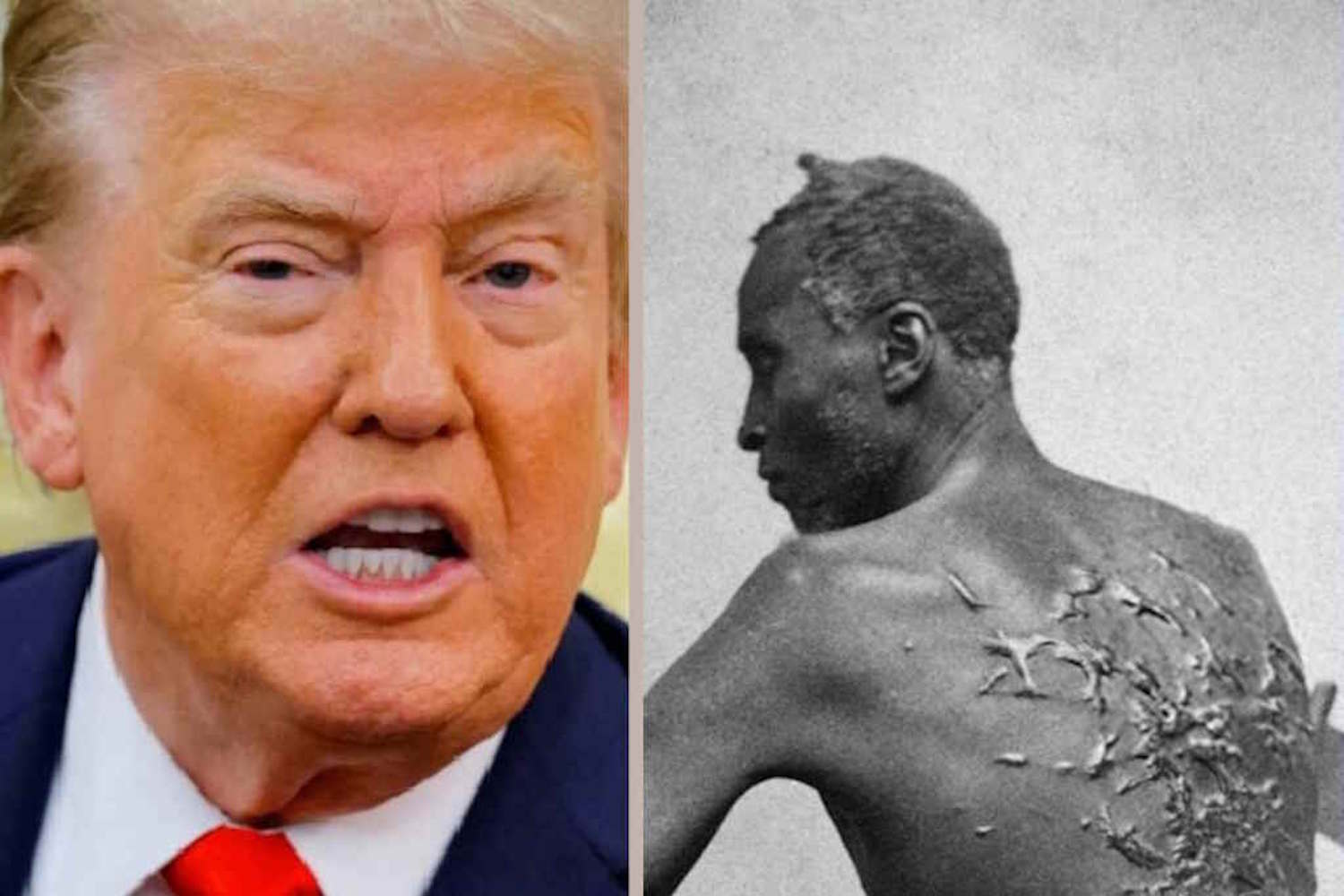 Trump and the slave
