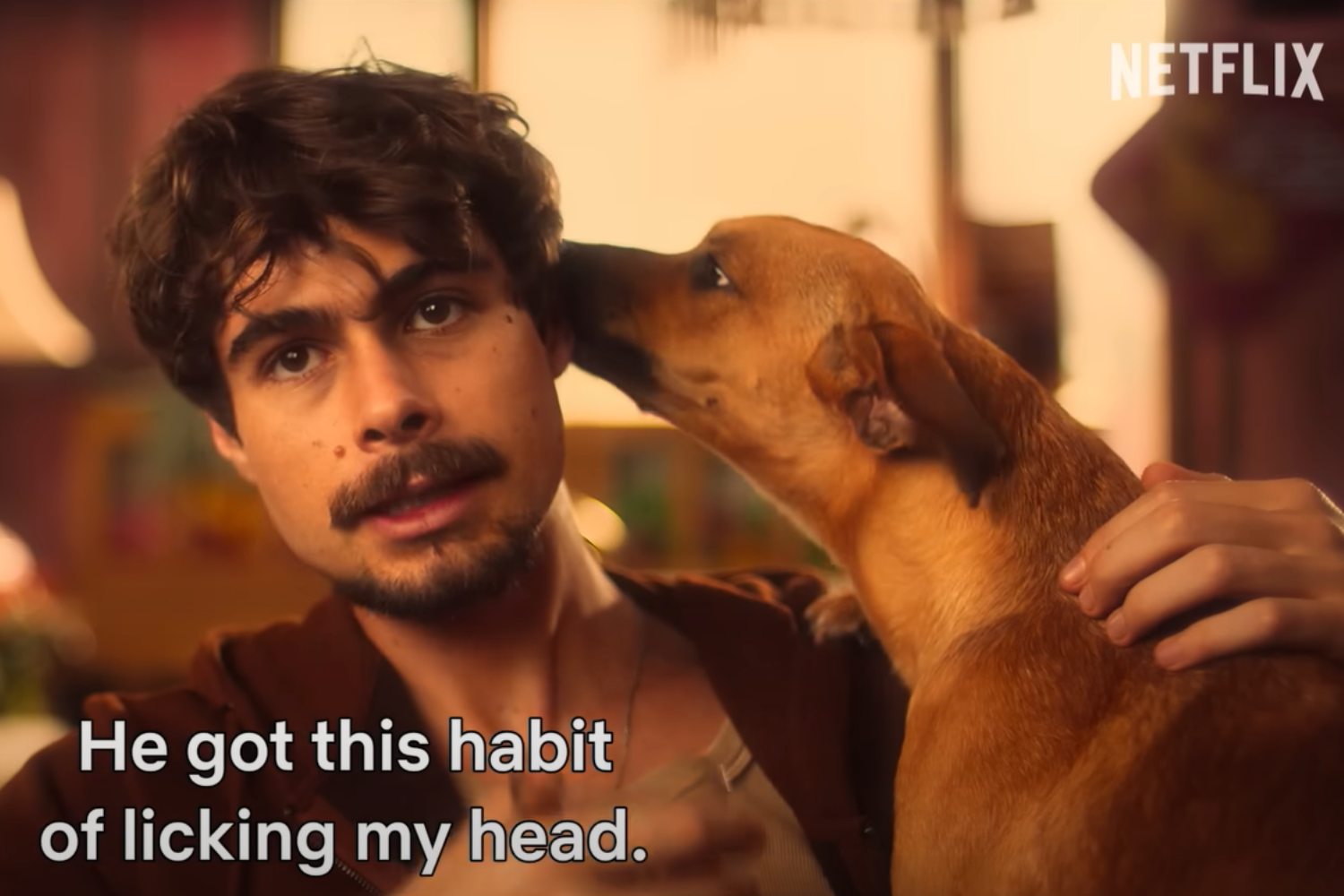Why You Should Watch 'Caramelo,' the Netflix Hit Starring the Dog That Became Brazil's National Symbol