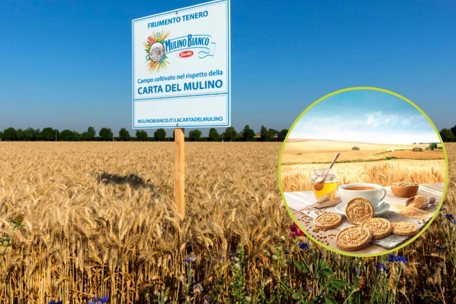 Mulino Bianco Launches Buongrano, First 100% Certified Regenerative Agriculture Biscuit