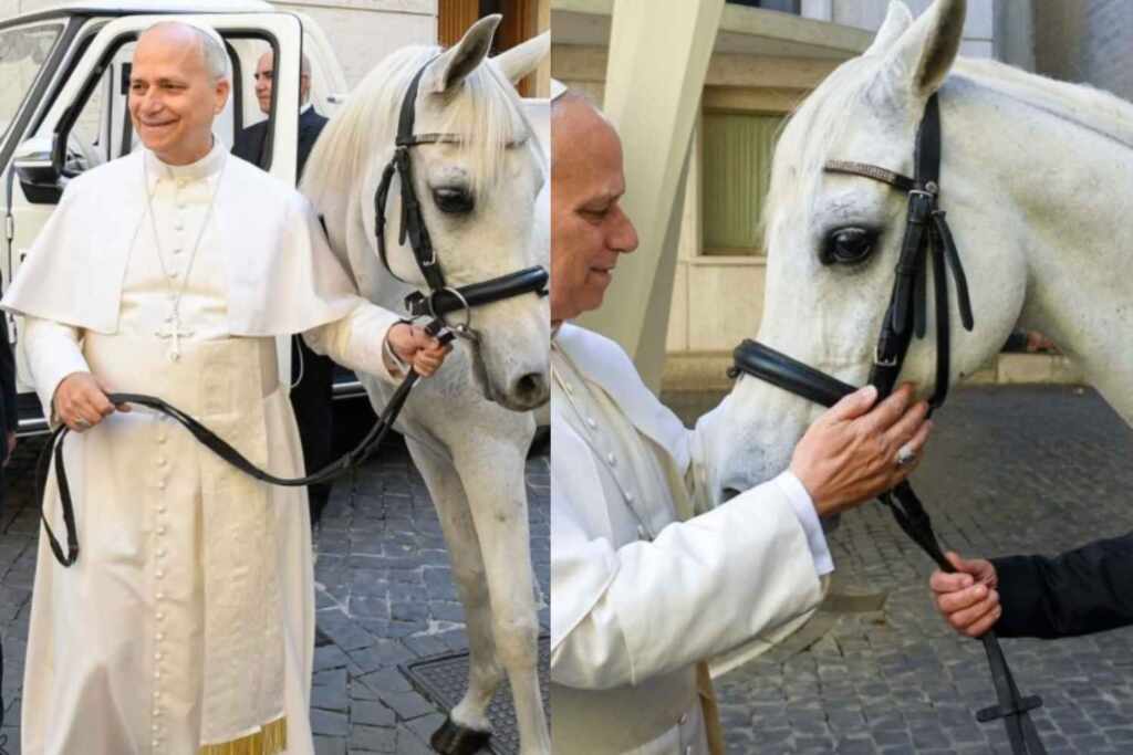 White horse Proton gifted to Pope Francis to be auctioned for charity