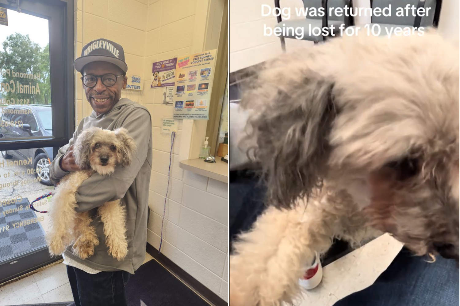 After 10 years, he finds his missing dog (thanks to microchip): their embrace warms hearts