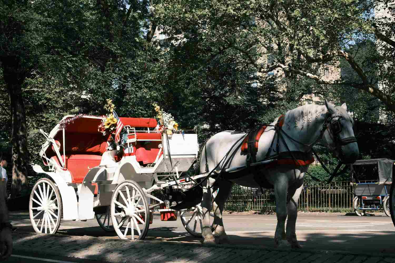 ban horse-drawn carriages