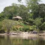 Suriname, the small green giant: the country will protect 90% of its forests forever