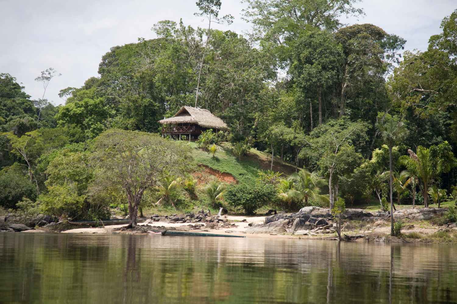 Suriname, the small green giant: the country will protect 90% of its forests forever