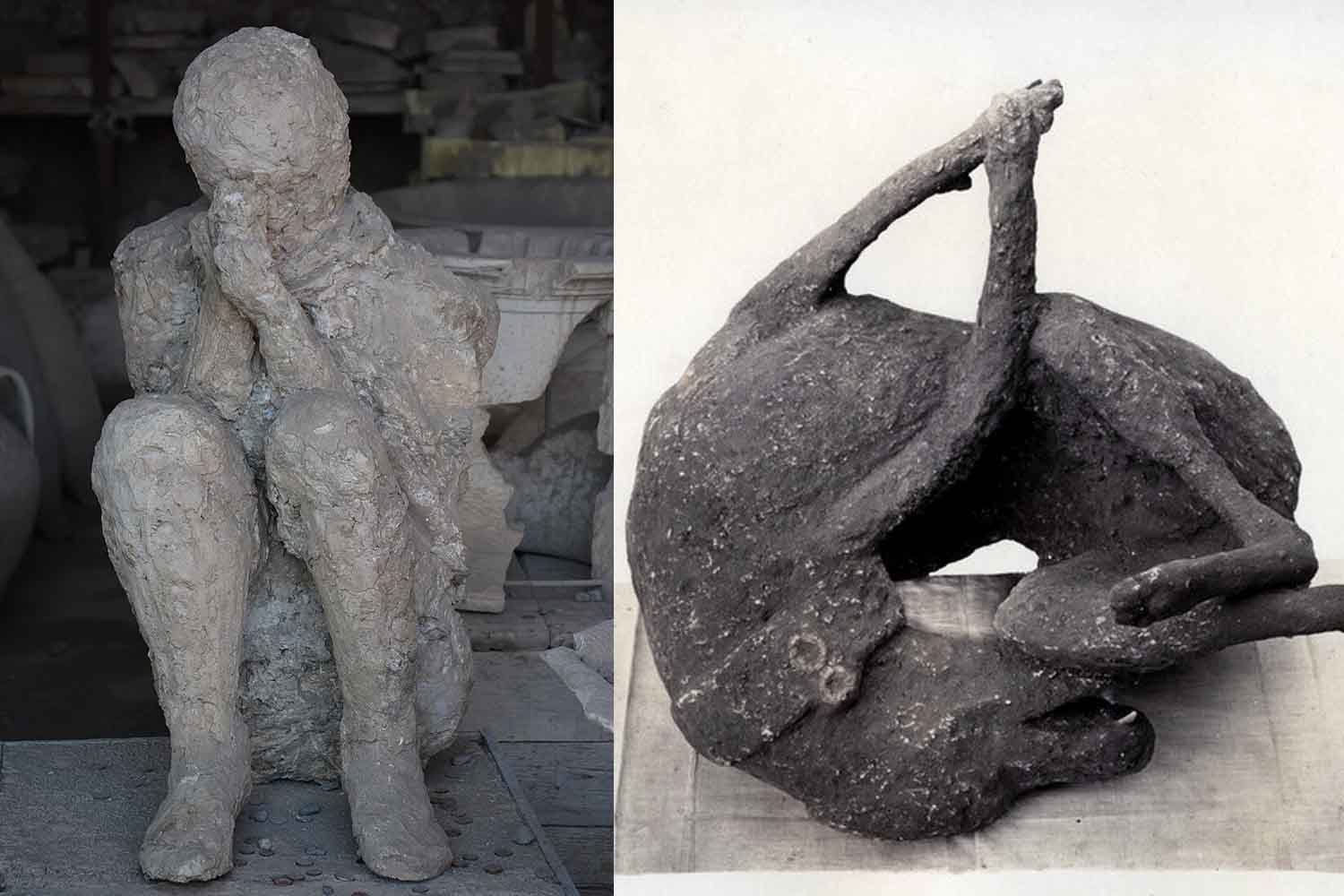 DNA analysis reveals Pompeii volcano victims were not who we were always told