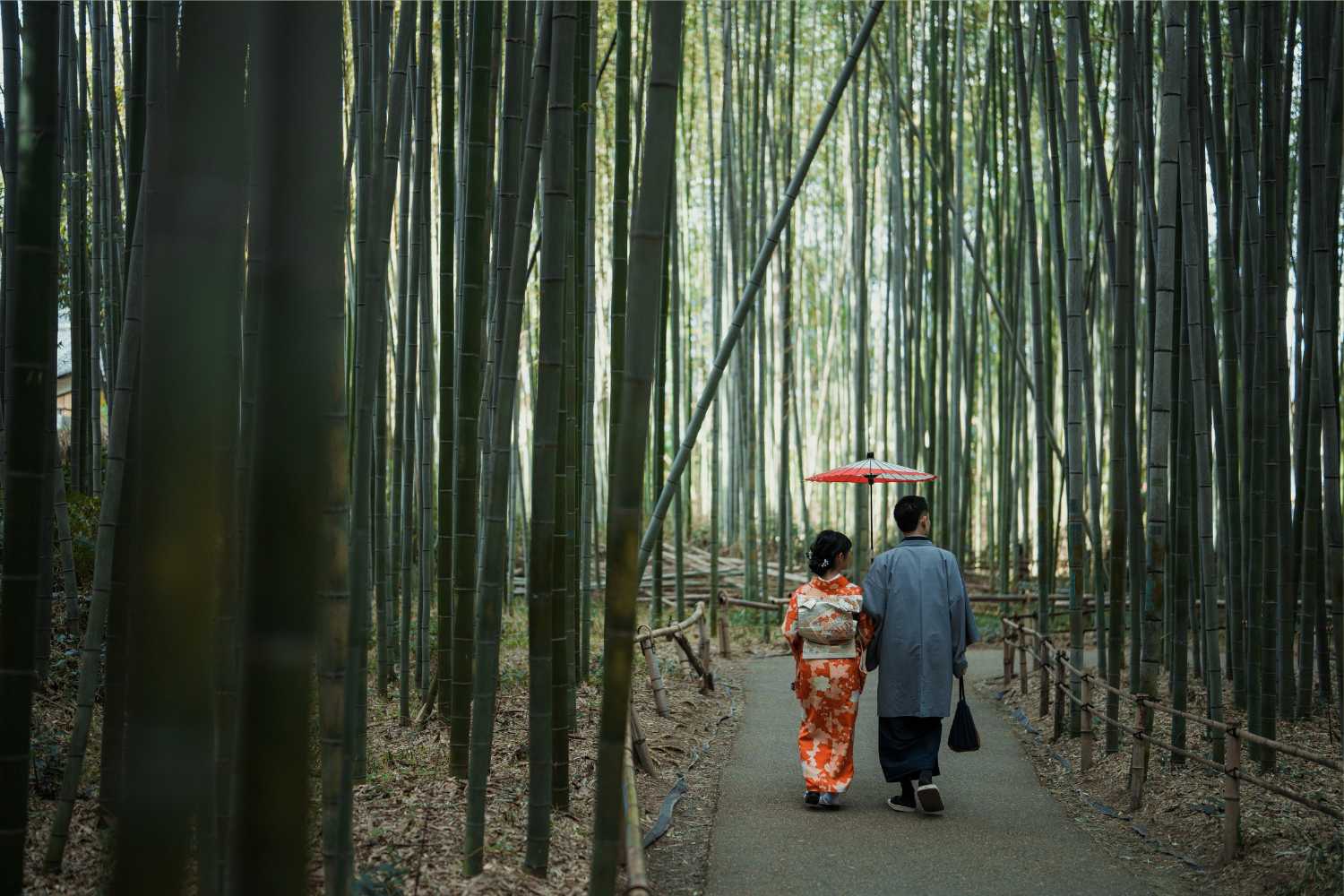 Japan travel changes 2026: Higher costs ahead. Visit before new regulations make trips more expensive.