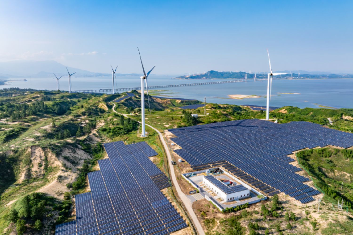 Renewables, driven by solar and wind, surpass coal for the first time in global demand