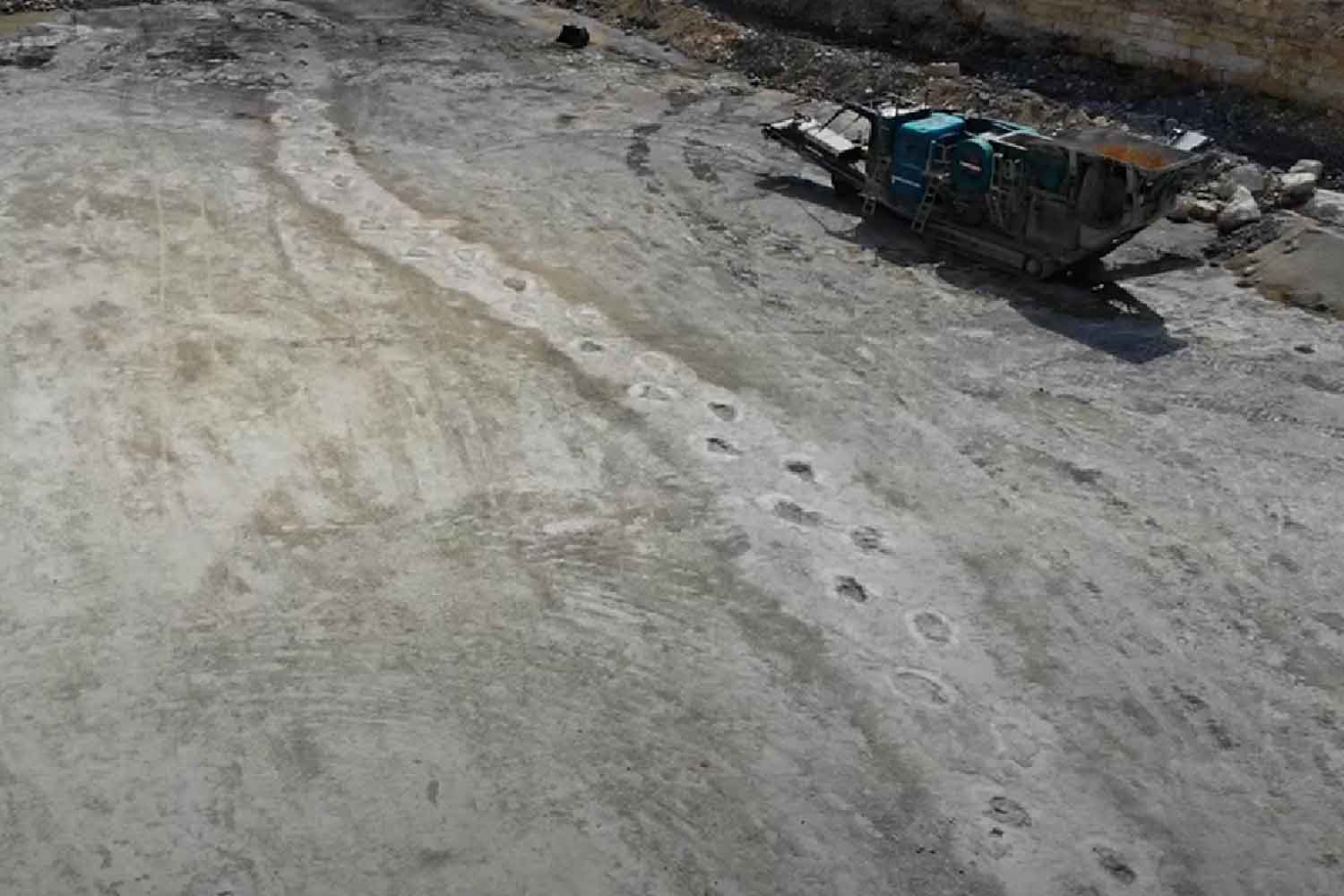 Longest dinosaur trackway in Europe discovered in England: 220 meters of ancient history