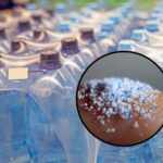 microplastics bottled mineral water