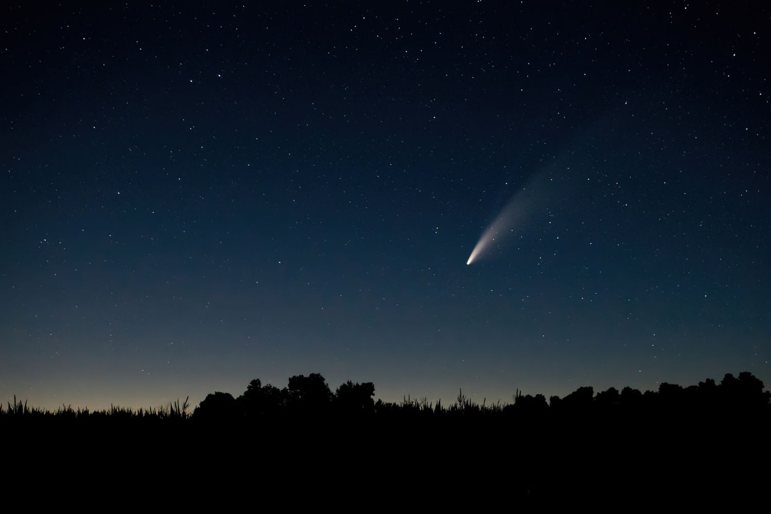 Prepare your wish list, an unforgettable meteor shower begins in hours (three consecutive nights)