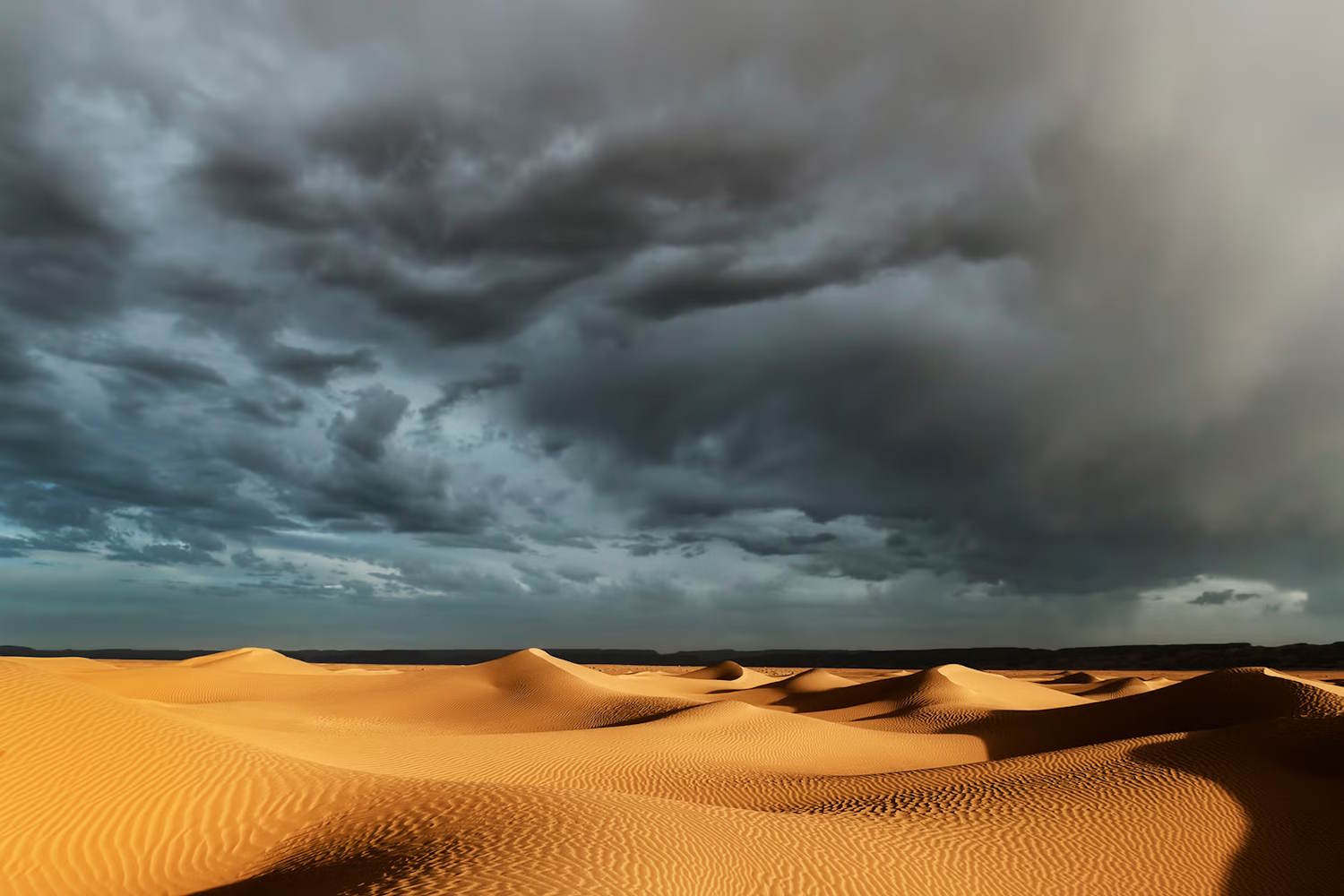Rain in the Sahara? Sooner than we think, this scenario could become "normal", the study