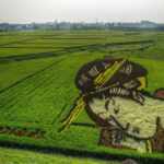 Japanese rice fields transformed into spectacular living works of art