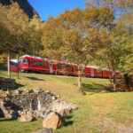 Bernina Express: schedules, prices and how to book the journey