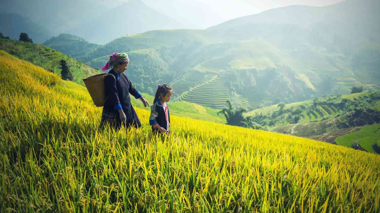 From physicist to tech farmer: the stories of Women in Ag Awards winners